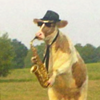 padraig